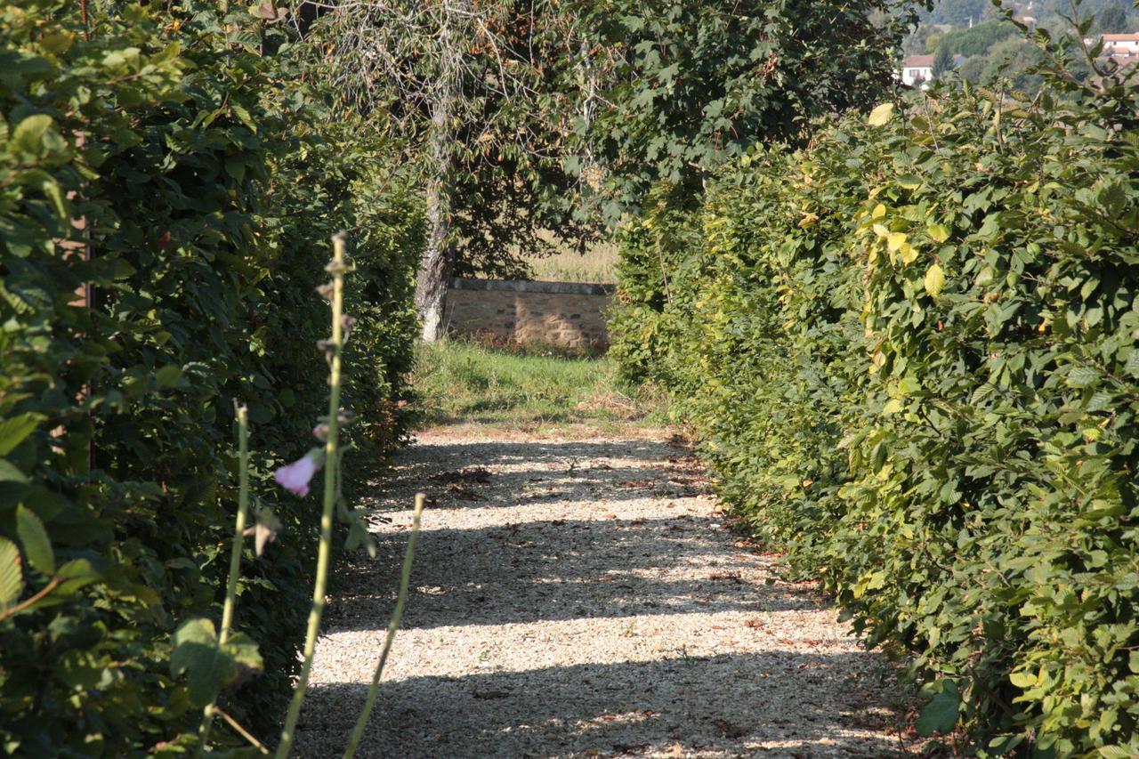 Chateau Manoir De La Leche Touvre 外观 照片