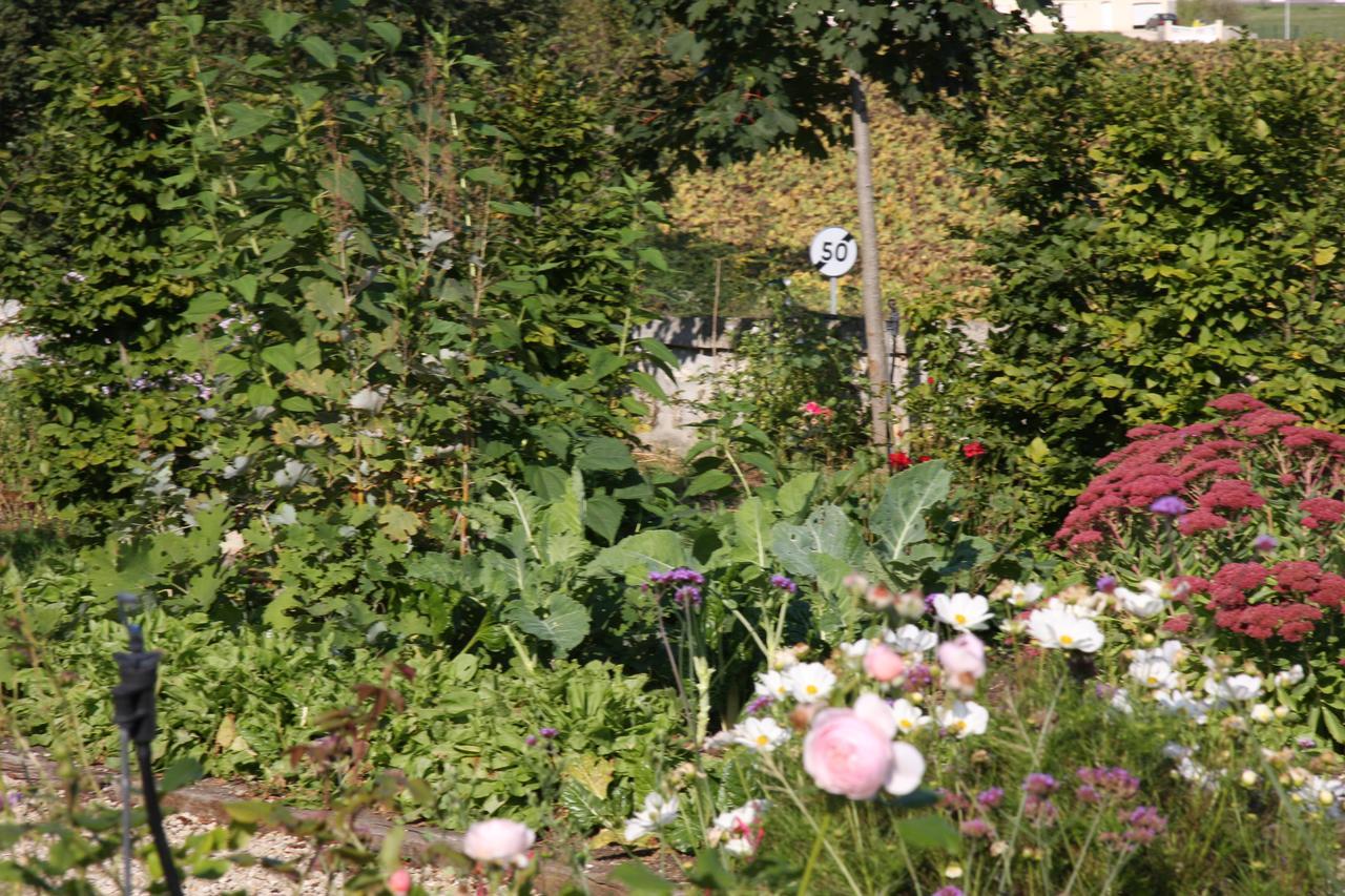 Chateau Manoir De La Leche Touvre 外观 照片